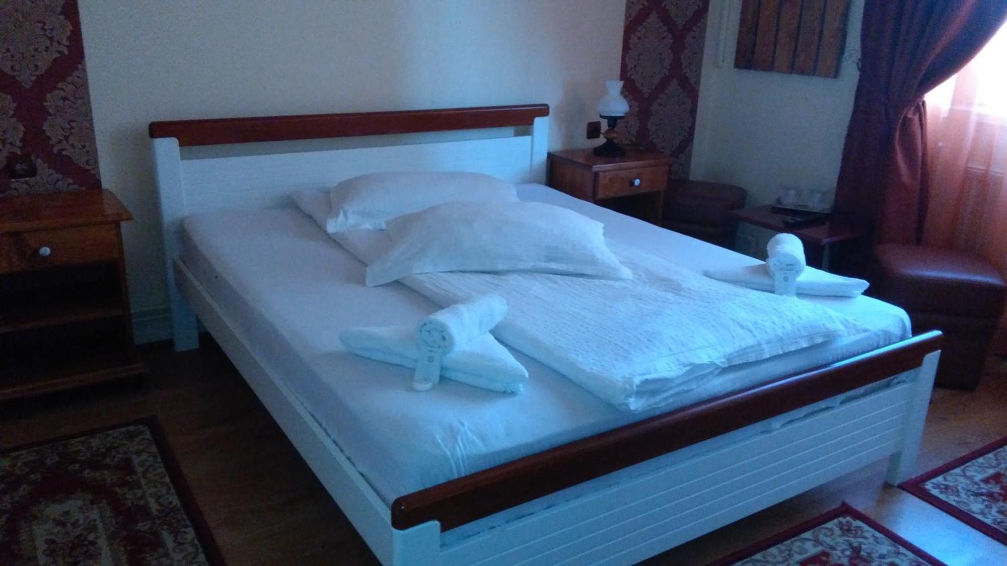 Vila Nicoleta Hotel Sibiu Bagian luar foto