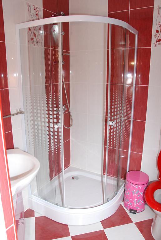 Vila Nicoleta Hotel Sibiu Bagian luar foto