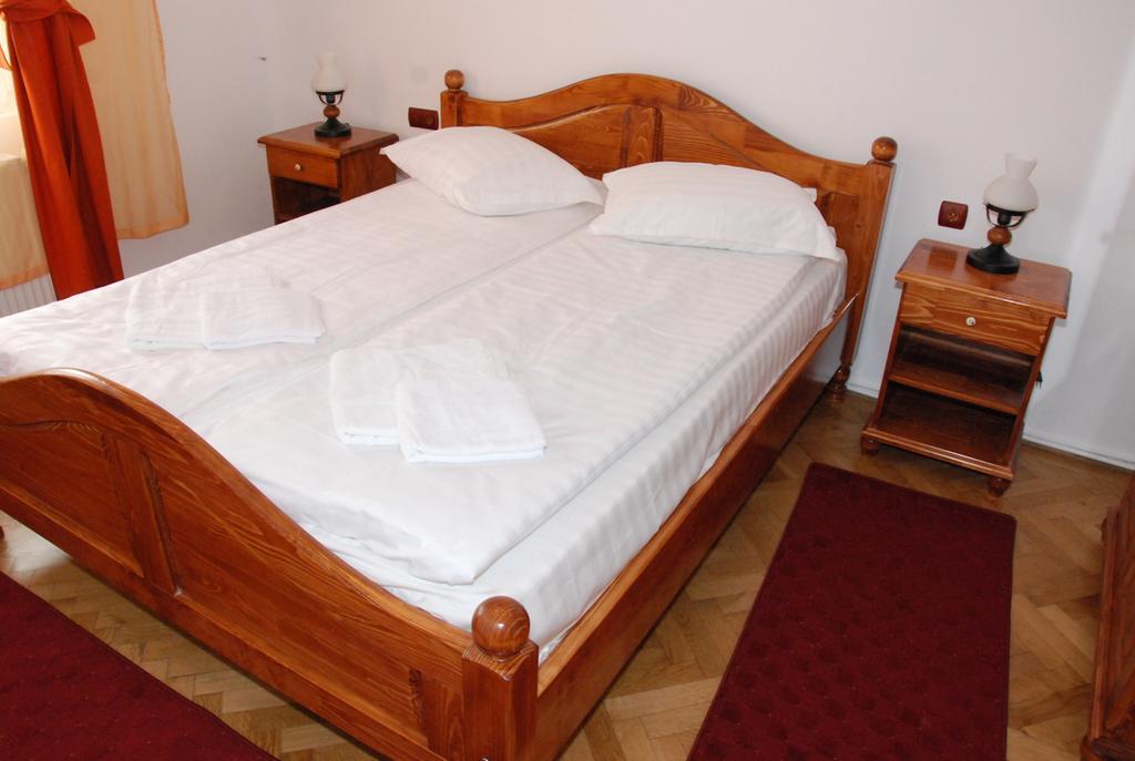 Vila Nicoleta Hotel Sibiu Bagian luar foto